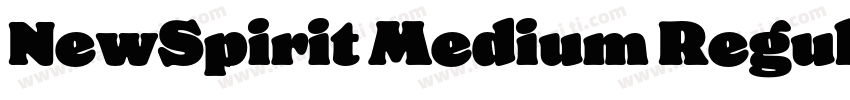 NewSpirit Medium Regular字体转换
